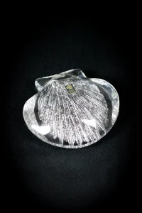 Coquillage en cristal Daum vue de dessus détail nervures internes